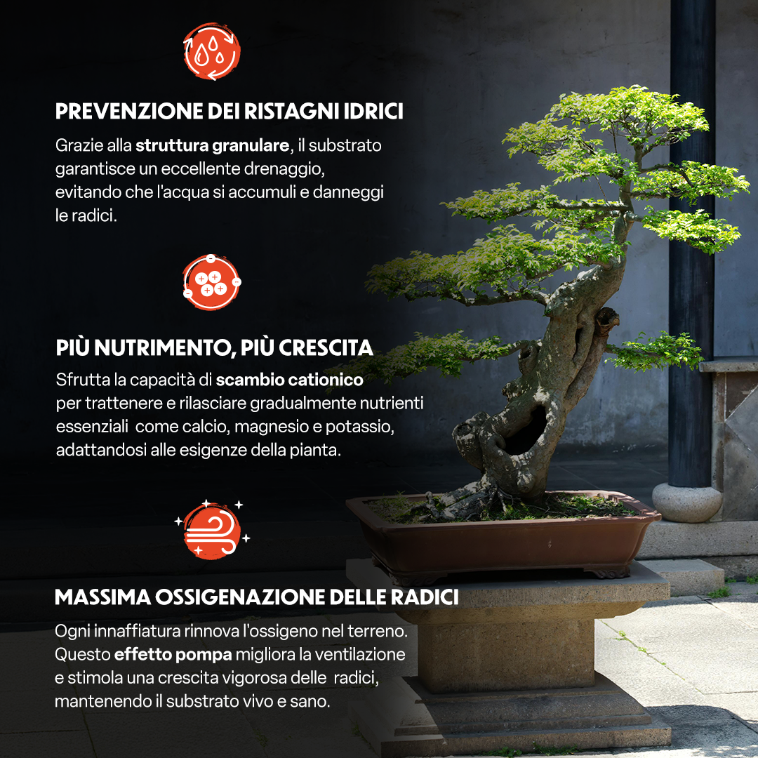 Probonsai Vulcano – Substrato Granulare per Bonsai | Drenaggio Perfetto e Radici Sane | Con Pomice, Lapillo, Zeolite, Humus e Micorrize | Pronto all’Uso | 5L