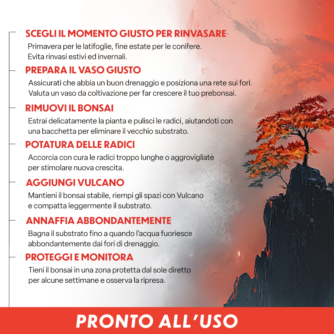 Probonsai Vulcano – Substrato Granulare per Bonsai | Drenaggio Perfetto e Radici Sane | Con Pomice, Lapillo, Zeolite, Humus e Micorrize | Pronto all’Uso | 5L