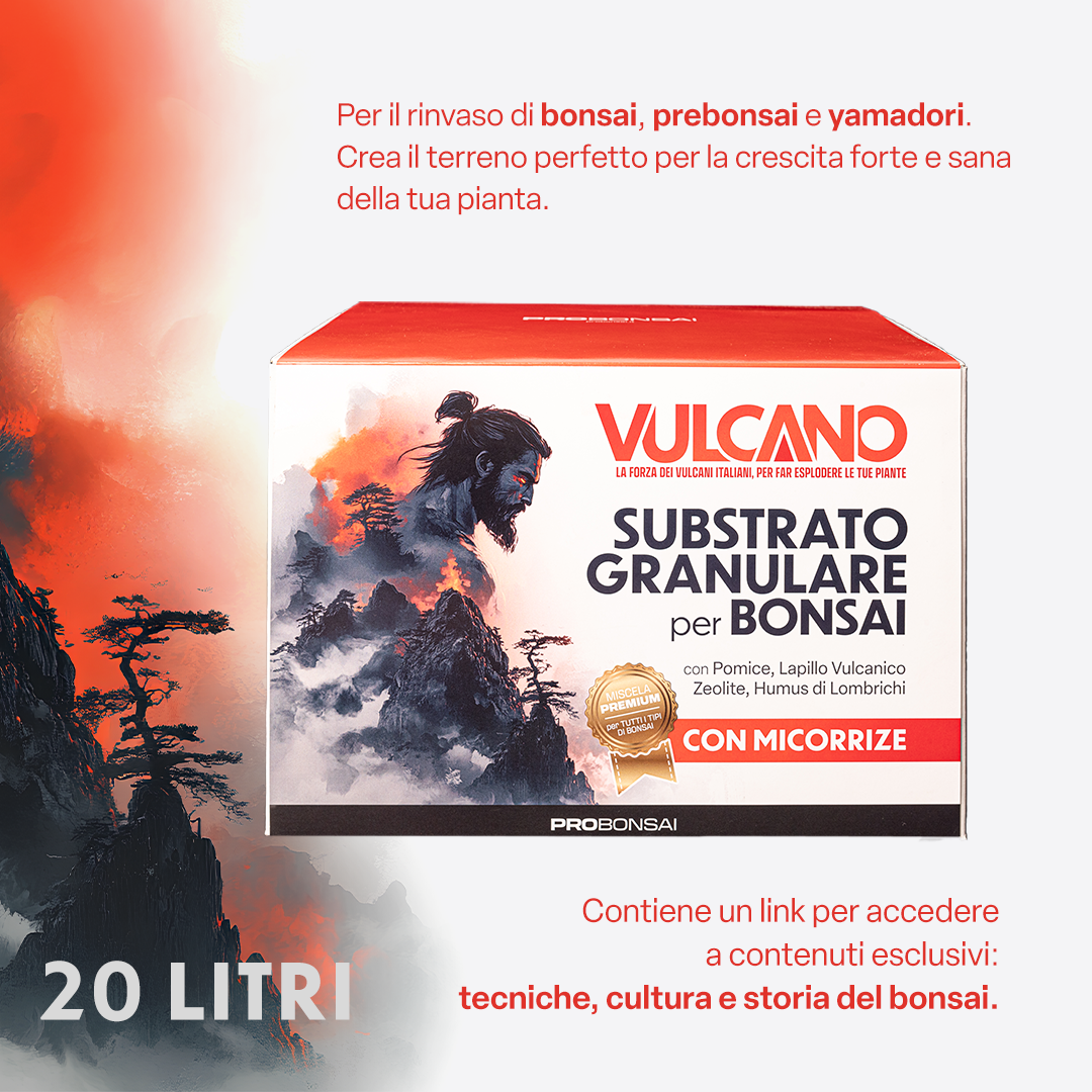 Probonsai Vulcano – Substrato Granulare per Bonsai | Drenaggio Perfetto e Radici Sane | Con Pomice, Lapillo, Zeolite, Humus e Micorrize | Pronto all’Uso – 20L