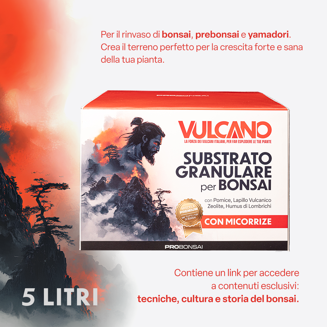 Probonsai Vulcano – Substrato Granulare per Bonsai | Drenaggio Perfetto e Radici Sane | Con Pomice, Lapillo, Zeolite, Humus e Micorrize | Pronto all’Uso | 5L