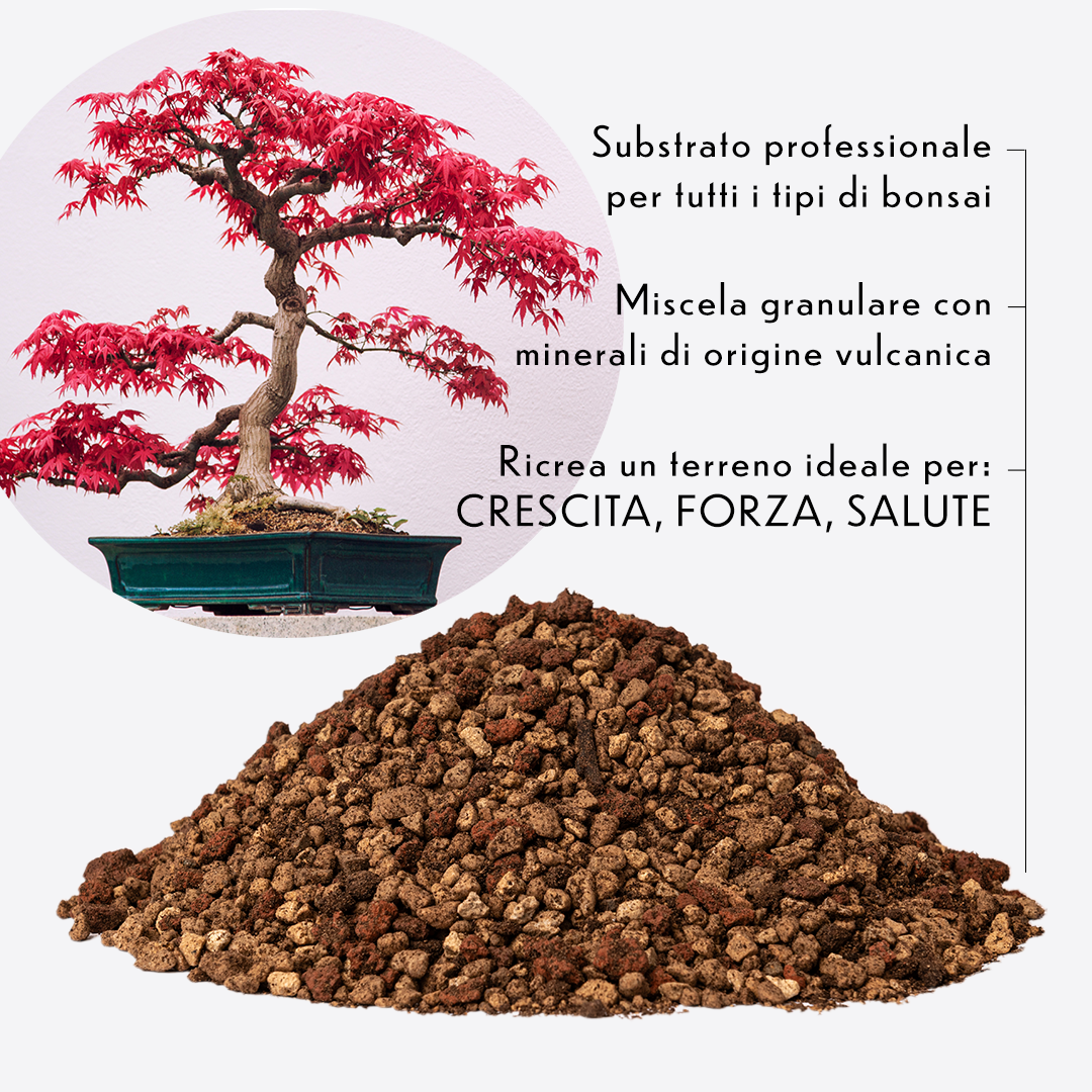 Probonsai Vulcano – Substrato Granulare per Bonsai | Drenaggio Perfetto e Radici Sane | Con Pomice, Lapillo, Zeolite, Humus e Micorrize | Pronto all’Uso | 5L