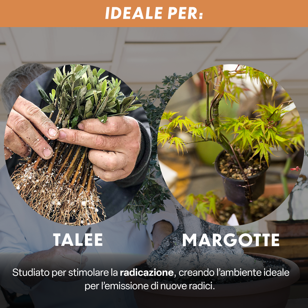 PROPAGO – Substrato per Talee e Margotte | Miscela Professionale con Agriperlite e Pomice | Idratazione Ottimale e Struttura Granulare | Drenaggio Perfetto | 5L