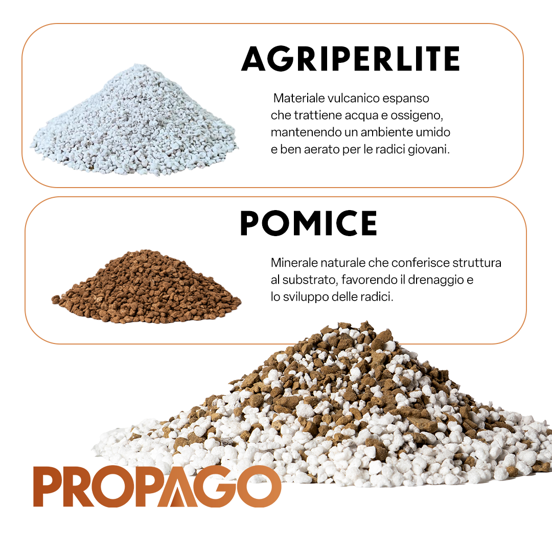 PROPAGO – Substrato per Talee e Margotte | Miscela Professionale con Agriperlite e Pomice | Idratazione Ottimale e Struttura Granulare | Drenaggio Perfetto | 5L
