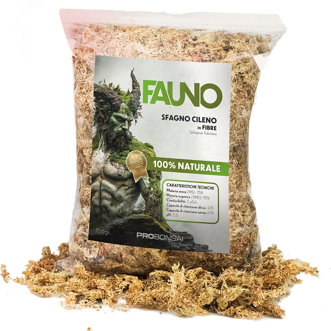 FAUNO – Sfagno Naturale per Bonsai | Sphagnum subnitens di Alta Qualità | Elevata Ritenzione Idrica e Isolamento Termico | Ideale per Copertura del Terreno e Propagazione | Confezione da 100 g