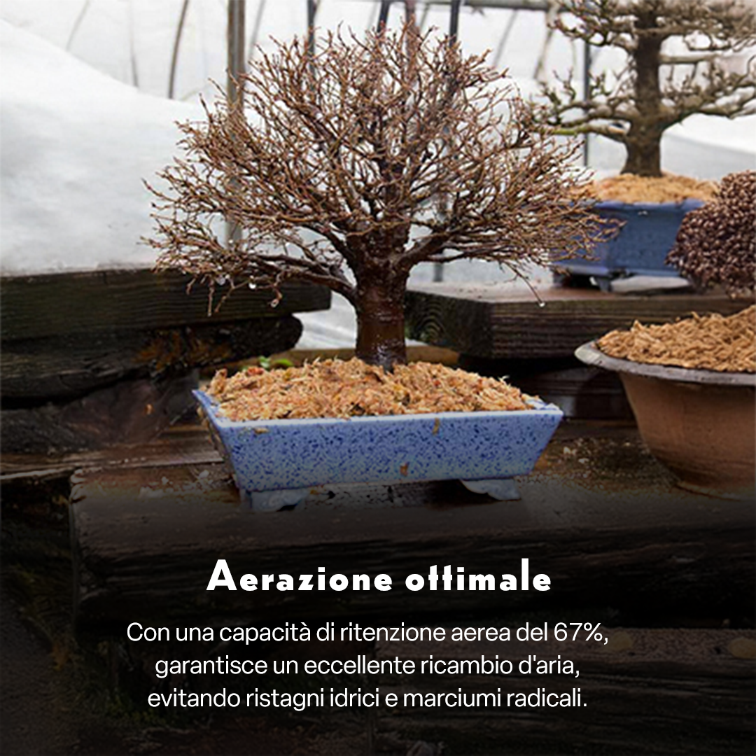 FAUNO – Sfagno Naturale per Bonsai | Sphagnum subnitens di Alta Qualità | Elevata Ritenzione Idrica e Isolamento Termico | Ideale per Copertura del Terreno e Propagazione | Confezione da 100 g