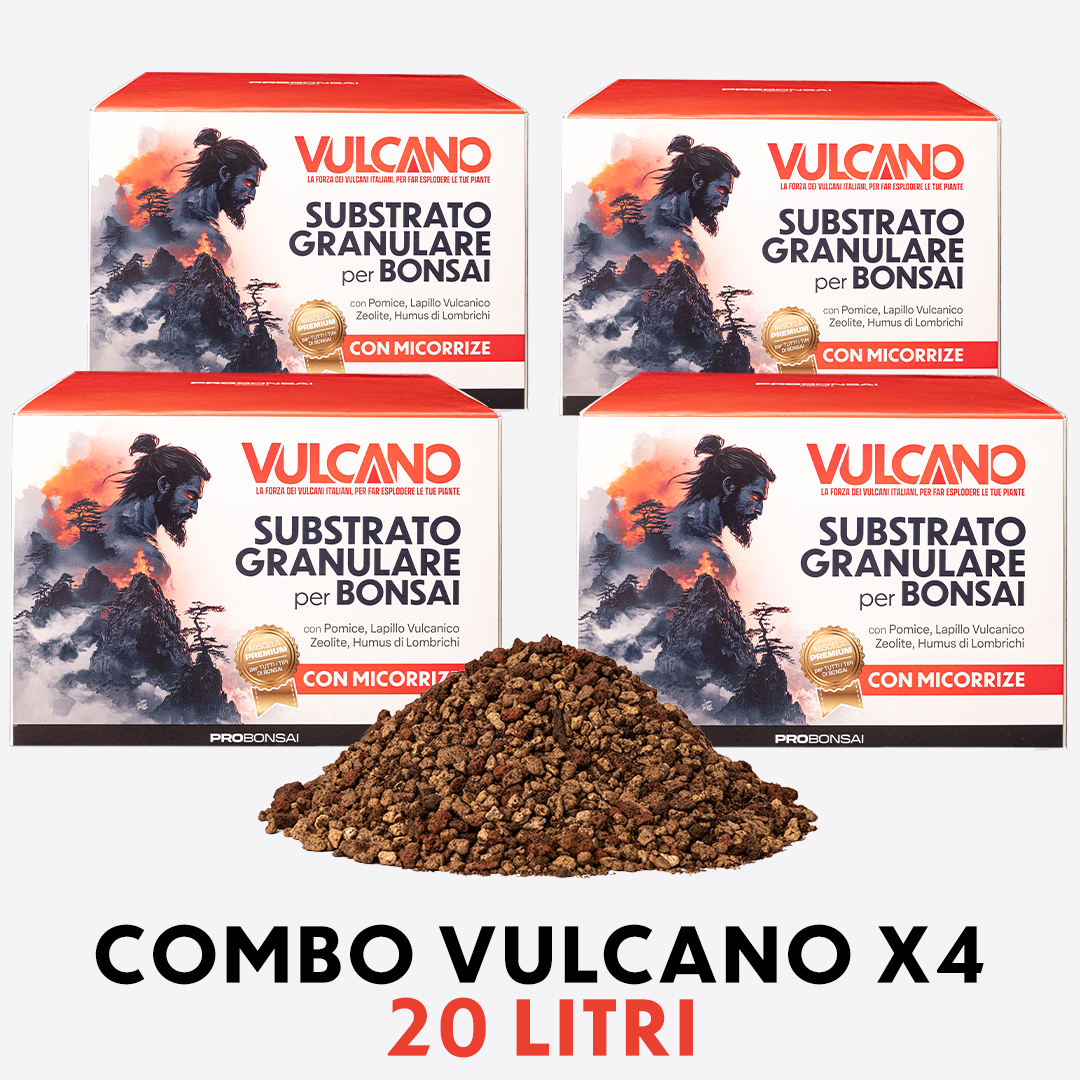 Probonsai Vulcano – Substrato Granulare per Bonsai | Drenaggio Perfetto e Radici Sane | Con Pomice, Lapillo, Zeolite, Humus e Micorrize | Pronto all’Uso – 20L