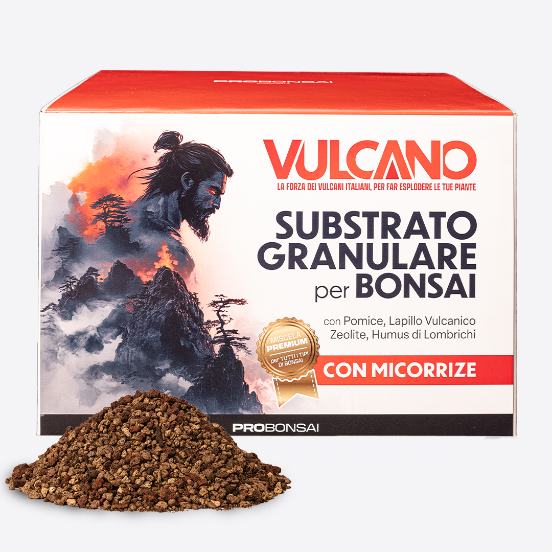 Probonsai Vulcano – Substrato Granulare per Bonsai | Drenaggio Perfetto e Radici Sane | Con Pomice, Lapillo, Zeolite, Humus e Micorrize | Pronto all’Uso | 5L